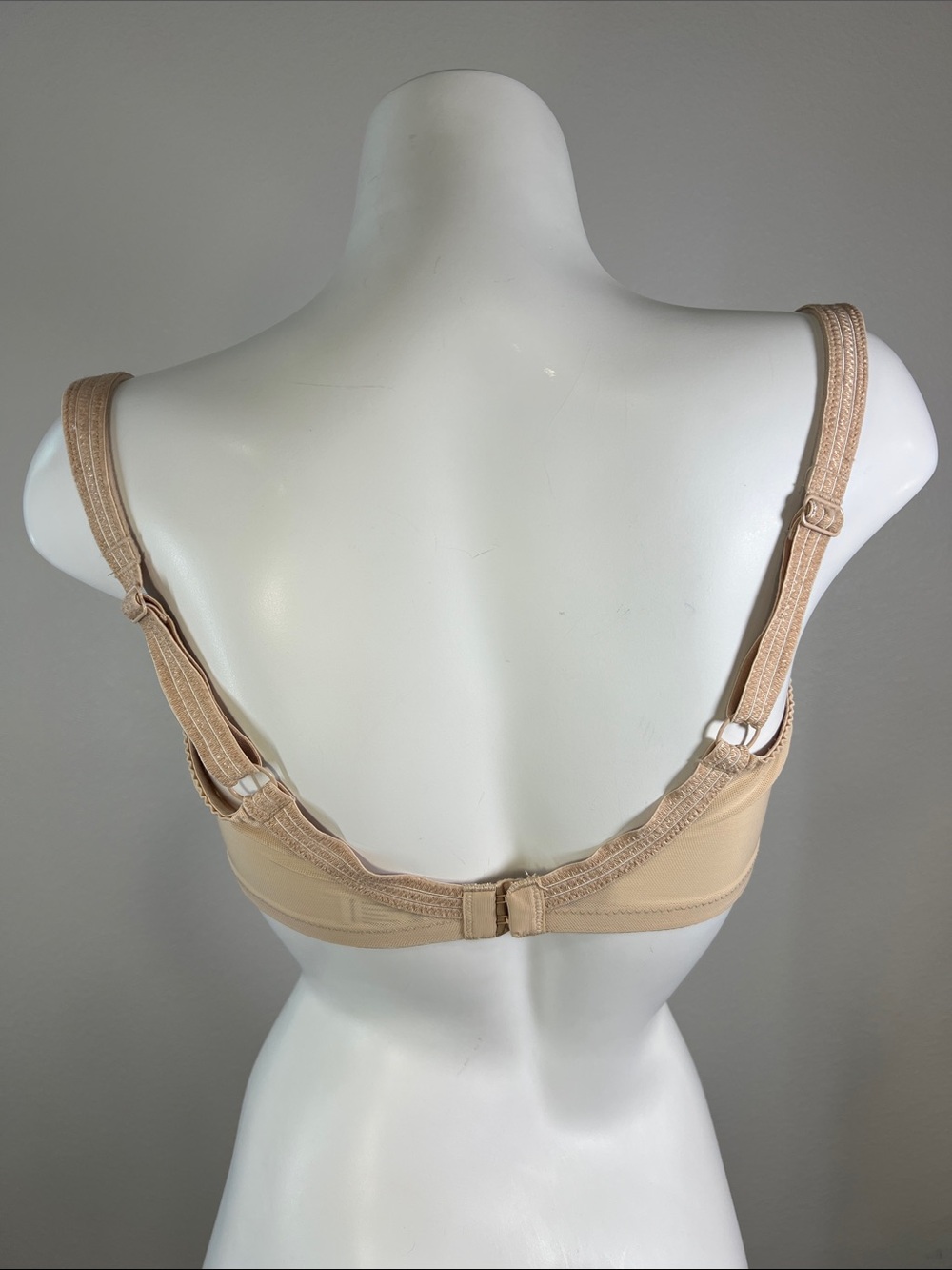 Panache Beige Lace Full-Cup Underwire Envy Bra 36FF - Picture 3 of 10
